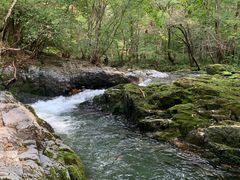 -关门山森林公园