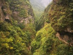 -鹿院坪生态旅游景区