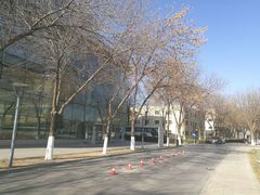 -北京国家会计学院