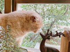 -咖法森林·咖啡  酒吧(天河店)