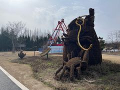 -东平国家森林公园