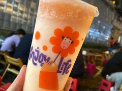 红柚酸奶摇-一只酸奶牛(奎星楼店)