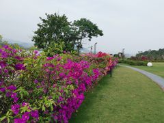 -福建鲤鱼洲酒店