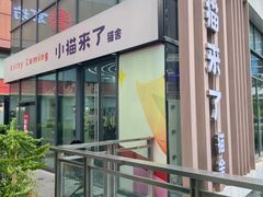 -小猫来了·猫舍(红山六九七九店)