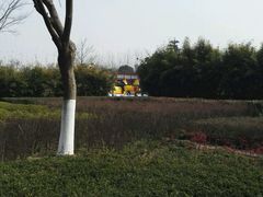 -白塘生态植物园