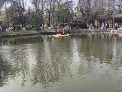 -翠湖公园