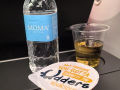 -新加坡航空公司(ION)