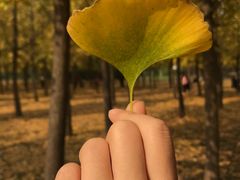 -汉景帝阳陵博物院
