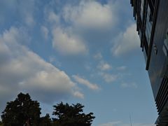 -湛江海鲜食府(一号路店)