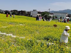 -秦岭风景区