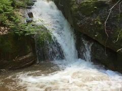 -庆岭迎宾园正宗活鱼馆