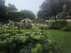 -九献私房菜(亮马河花园私宴店)