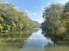 -溱湖国家湿地公园