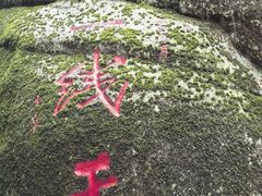 -汤旺河林海奇石景区