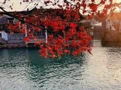 -乌镇西栅景区