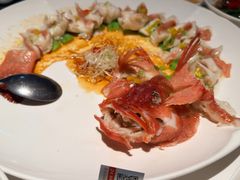 古法游龙东星斑-侨美食家·41年地道粤菜(珠江新城店)