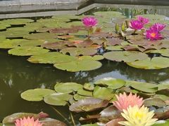 -国家植物园南园