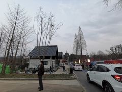 -三圣花乡旅游区