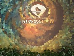 -贝壳梦幻世界