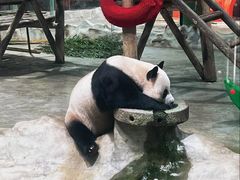 -栾川竹海野生动物园