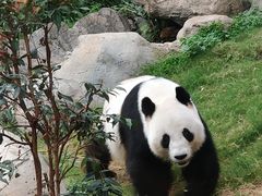 -香港海洋公园