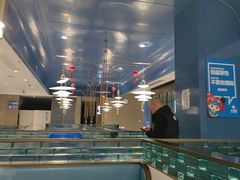 -大锅强·蒸海鲜青岛菜(金沙滩店)