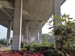-中澳友谊花园