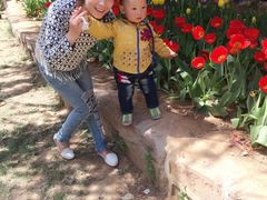 -洛阳郁金香牡丹园