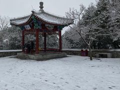 -香山公园