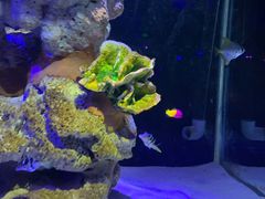-无锡海洋馆