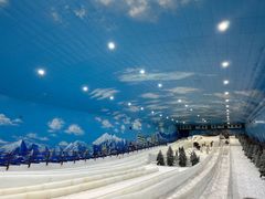 -世界之窗阿尔卑斯冰雪世界