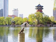 -迎泽公园