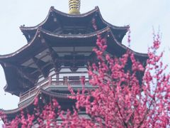 -洋湖国家湿地公园
