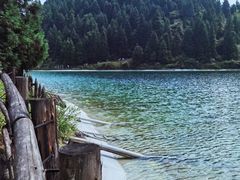 -武陵山森林公园