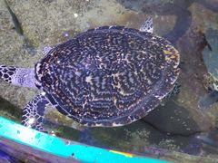 -鸿通城购物中心