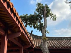 -忠惠蔡公祠