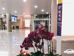 -温州龙湾国际机场
