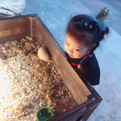 -酷嗒动物文化乐园(cutezoo西溪乐天城店)