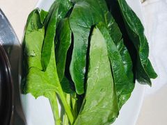 -浩爷羊蝎子火锅(望京店)