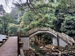 -广州市石门国家森林公园