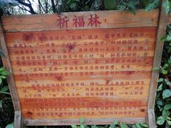 -海南铜鼓岭景区