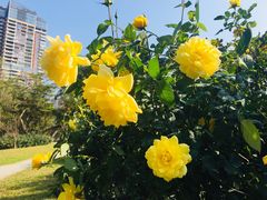 -人民公园(罗湖区)