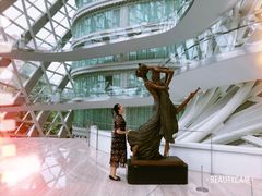 -凤凰中心