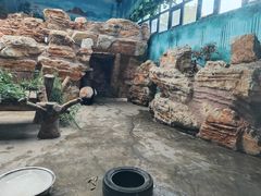 -石家庄市动物园