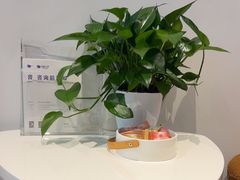 -安肯心理咨询(长宁旗舰店)