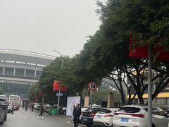 -菜园坝水果市场