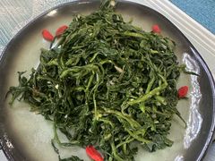清香枸杞苗-国强手抓(西夏区店)