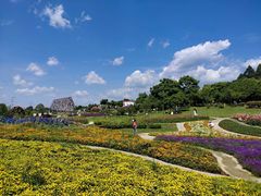 -紫颐香薰山谷景区
