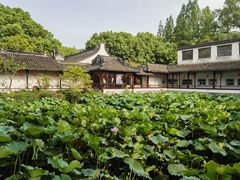-上海醉白池公园