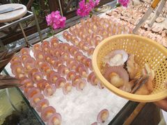 -渔家火锅·海鲜自助餐·演艺(亚龙湾天域酒店)